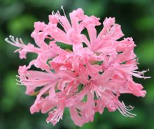 ヨハネによる福音書 14章 6節